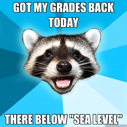 GOT MY GRADES BACK TODAY THERE BELOW 