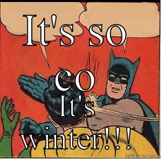 IT'S SO CO IT'S WINTER!!! Slappin Batman