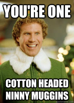 You're one Cotton Headed Ninny Muggins  Buddy the Elf