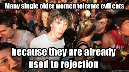 Many single older women tolerate evil cats because they are already used to rejection  Sudden Clarity Clarence