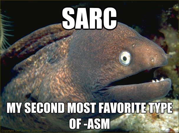 Sarc My second most favorite type of -asm  Bad Joke Eel