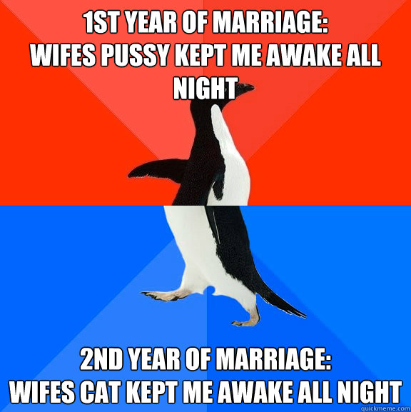 1st year of marriage:
wifes pussy kept me awake all night 2nd year of marriage:
wifes cat kept me awake all night  Socially Awesome Awkward Penguin