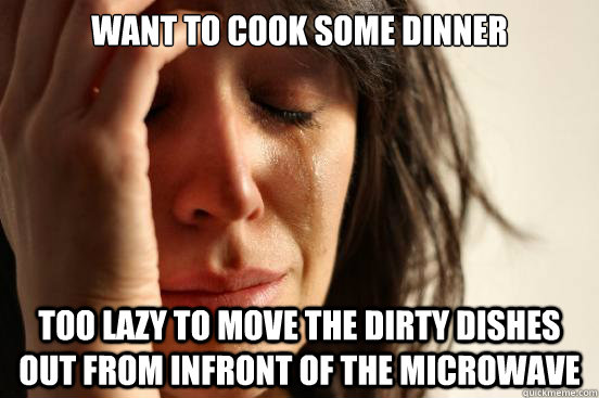 Want to cook some dinner too lazy to move the dirty dishes out from infront of the microwave  First World Problems