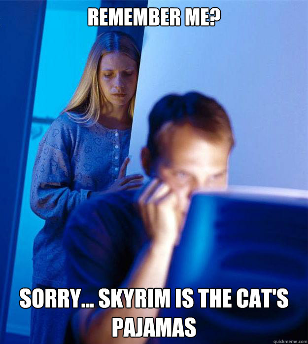 Remember me? Sorry... Skyrim is the cat's pajamas  Redditors Wife