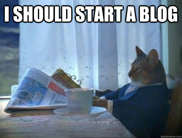 I should start a blog   morning realization newspaper cat meme