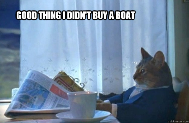 good thing i didn't buy a boat  Sophisticated Cat