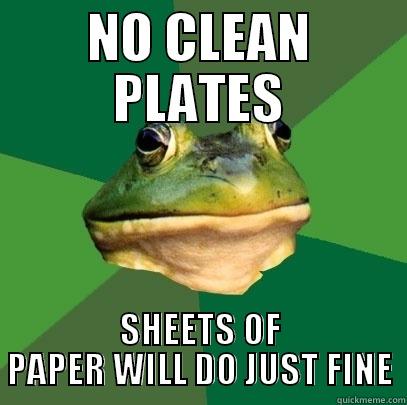 NO CLEAN PLATES SHEETS OF PAPER WILL DO JUST FINE Foul Bachelor Frog