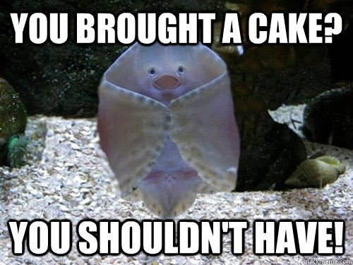 You brought a cake? you shouldn't have!  