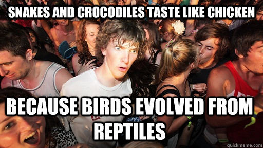 Snakes and crocodiles taste like chicken Because birds evolved from reptiles  Sudden Clarity Clarence