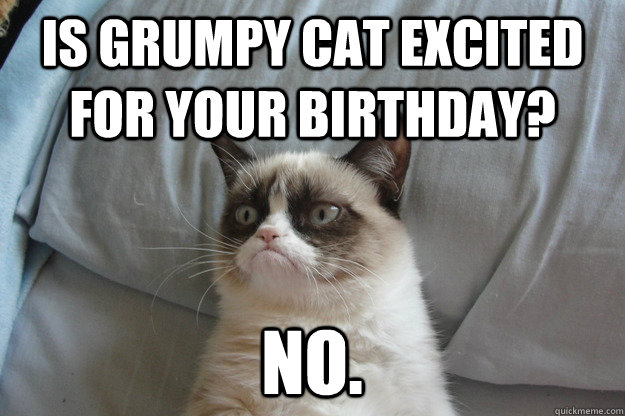 IS GRUMPY CAT EXCITED FOR YOUR BIRTHDAY? NO.  grumpycat