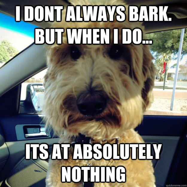 I dont always bark. But when I do... Its at absolutely nothing   