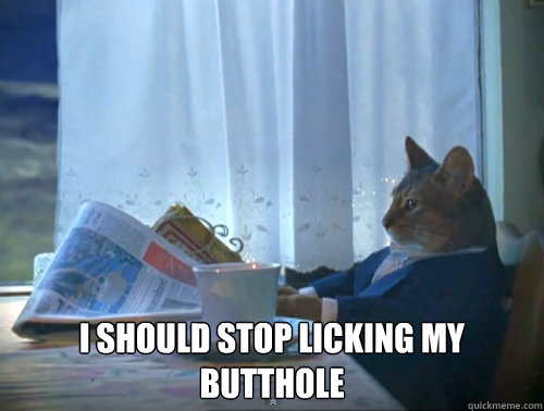  I should stop licking my butthole  The One Percent Cat