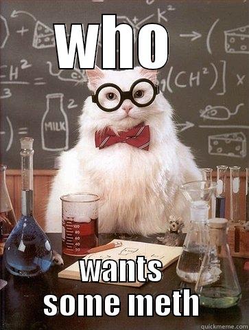 WHO  WANTS SOME METH Chemistry Cat