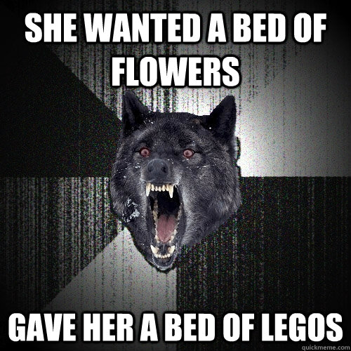 She wanted a bed of flowers gave her a bed of legos  Insanity Wolf