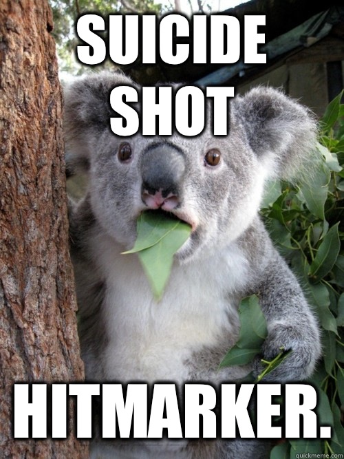 Suicide shot hitmarker.  koala bear