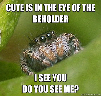 cute is in the eye of the beholder i see you                                         do you see me?  Misunderstood Spider