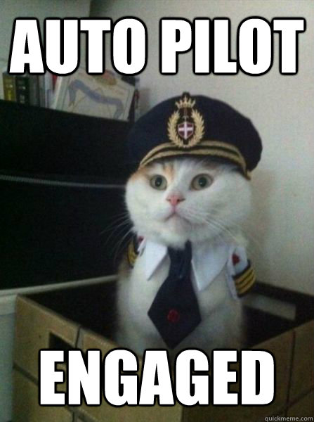 Auto pilot  engaged - Auto pilot  engaged  Important Message from Captain Cat