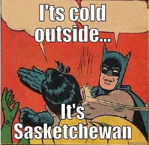 I'TS COLD OUTSIDE... IT'S SASKETCHEWAN Batman Slapping Robin