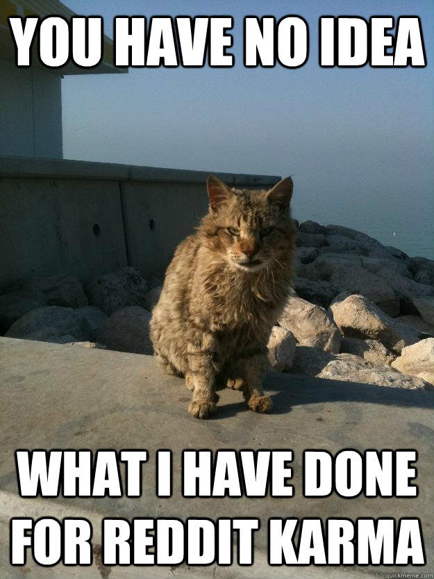 You have no idea what I have done for reddit karma  Bitter Cat