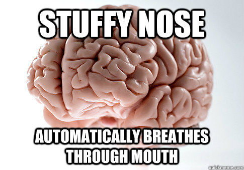 STUFFY NOSE AUTOMATICALLY BREATHES THROUGH MOUTH   Scumbag Brain