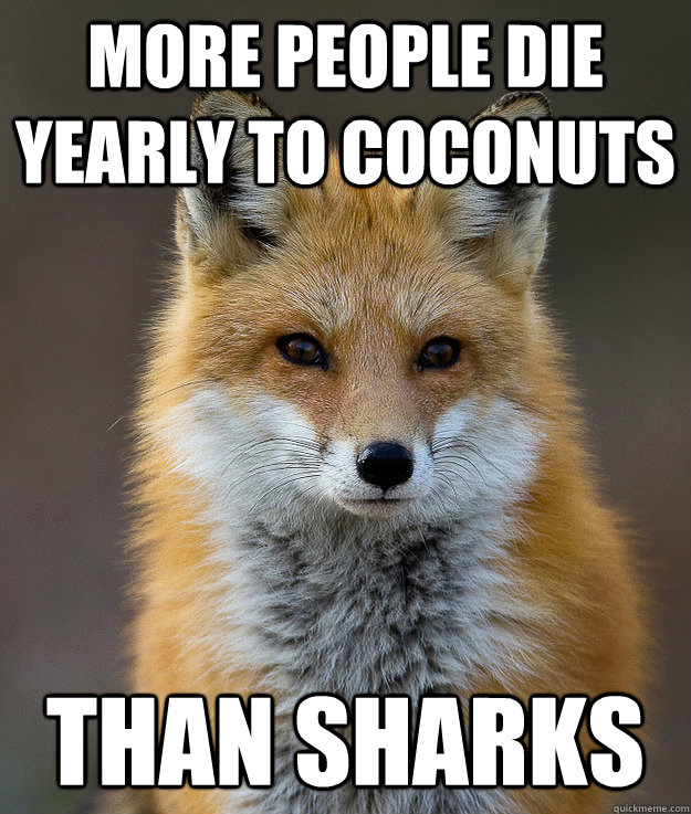 More people die yearly to coconuts than sharks - More people die yearly to coconuts than sharks  Fun Fact Fox
