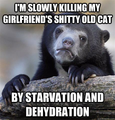 i'm slowly killing my girlfriend's shitty old cat by starvation and dehydration - i'm slowly killing my girlfriend's shitty old cat by starvation and dehydration  Confession Bear