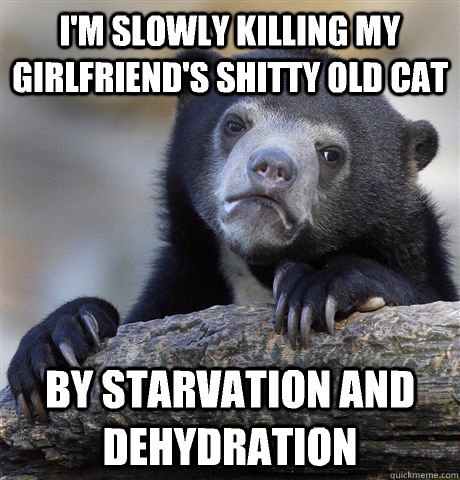 i'm slowly killing my girlfriend's shitty old cat by starvation and dehydration  Confession Bear