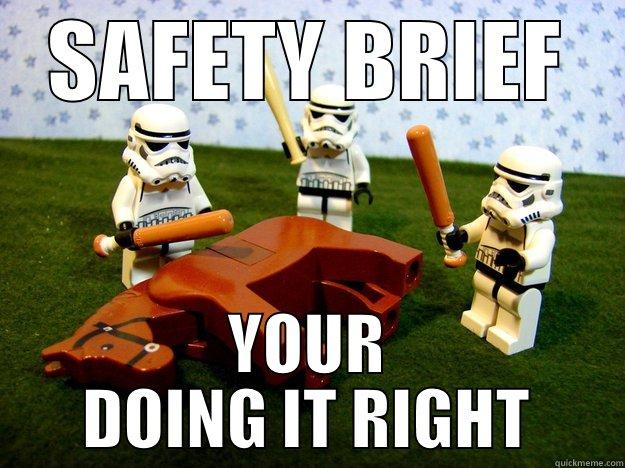 SAFETY BRIEF - SAFETY BRIEF YOUR DOING IT RIGHT Dead Horse