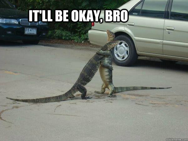 It'll be okay, bro - It'll be okay, bro  sensitive lizards