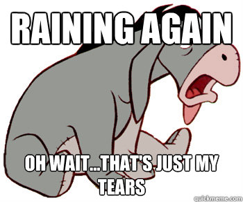 raining again oh wait...that's just my tears   Suicidal Eeyore