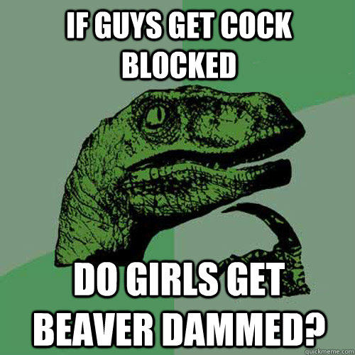 If guys get cock blocked do girls get beaver dammed? 