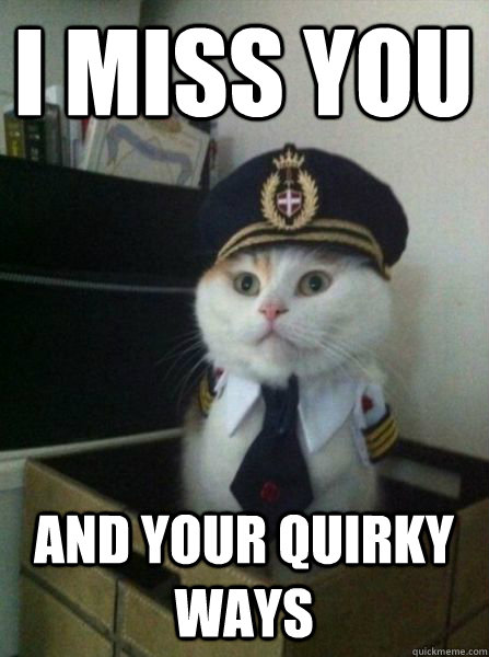 I miss you and your quirky ways  Captain kitteh