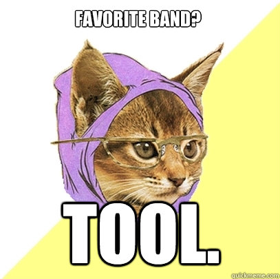 favorite band? tool.  Hipster Kitty