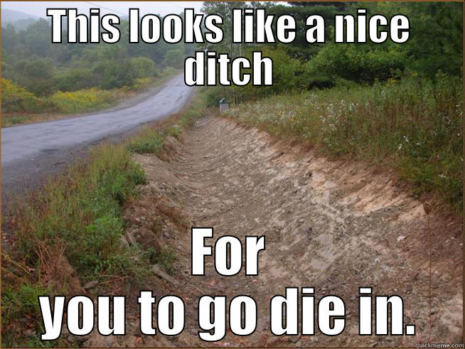 go die in a ditch - THIS LOOKS LIKE A NICE DITCH FOR YOU TO GO DIE IN. Misc