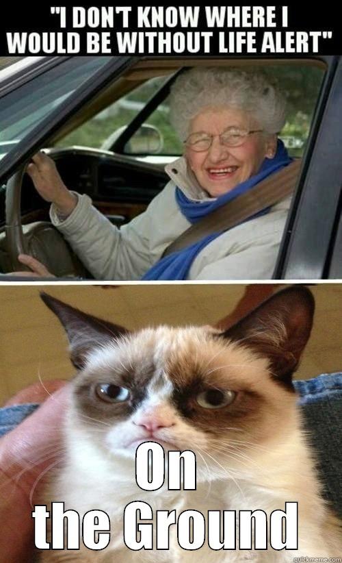 Life Alert -  ON THE GROUND Misc