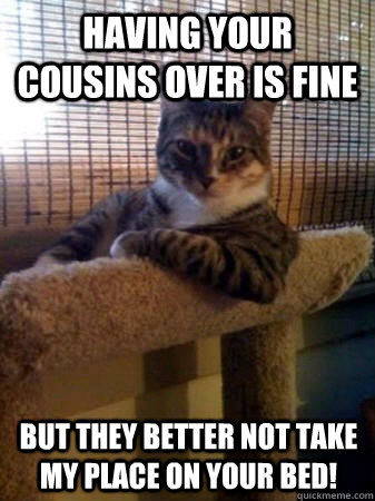 HAVING your cousins over is fine but they better not take my place on your bed!  The Most Interesting Cat in the World