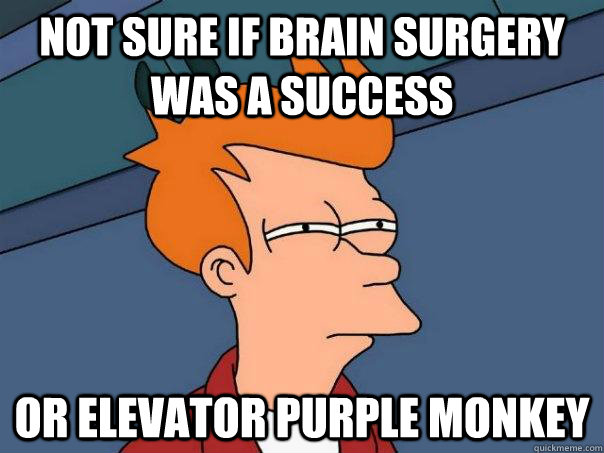 Not sure if brain surgery was a success Or elevator purple monkey  Futurama Fry