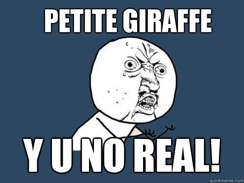 petite giraffe y u no real!  Y U No