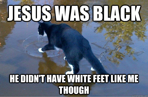 Jesus was black He didn't have white feet like me though  Jesus Cat