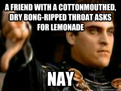A friend with a cottonmouthed, dry bong-ripped throat asks for lemonade Nay  Downvoting Roman