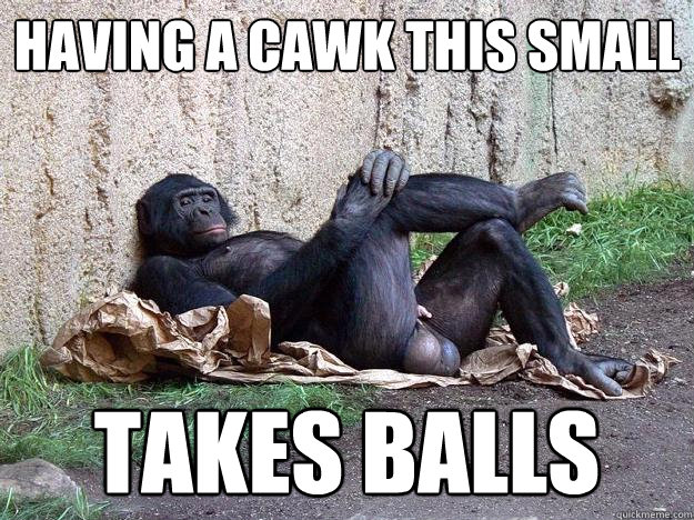 having a cawk this small TAKES BALLs - having a cawk this small TAKES BALLs  Hater Monkey