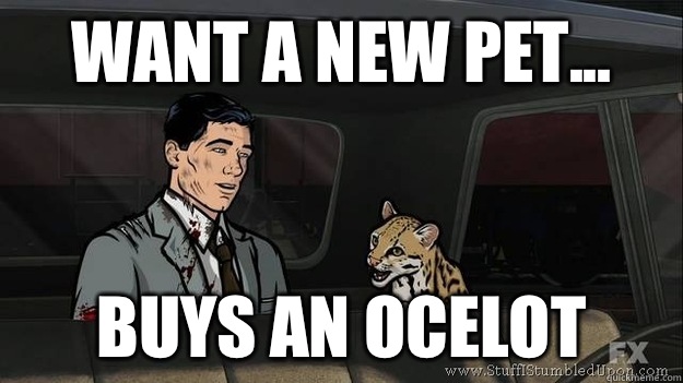 want a new pet... Buys an Ocelot  