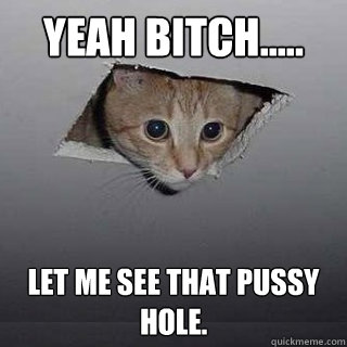 Yeah Bitch..... Let me see that pussy hole. - Yeah Bitch..... Let me see that pussy hole.  Ceiling Cat