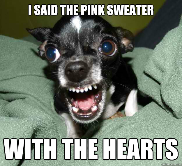 I said the pink sweater with the hearts  Chihuahua Logic