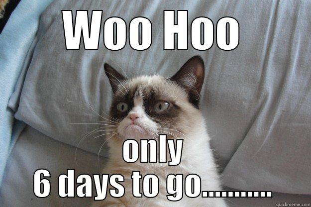 WOO HOO ONLY 6 DAYS TO GO........... Grumpy Cat