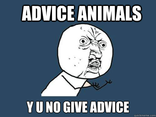 Advice Animals Y u no give advice  Y U No