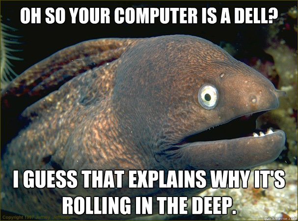 Oh so your computer is a dell? I guess that explains why it's rolling in the deep.  - Oh so your computer is a dell? I guess that explains why it's rolling in the deep.   Bad Joke Eel