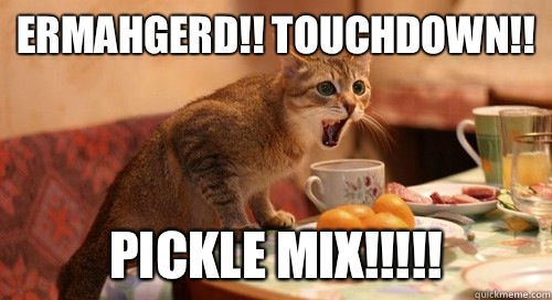 Ermahgerd!! Touchdown!! PICKLE MIX!!!!!  excited cat