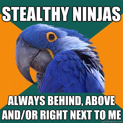 stealthy Ninjas always behind, above and/or right next to me  Paranoid Parrot