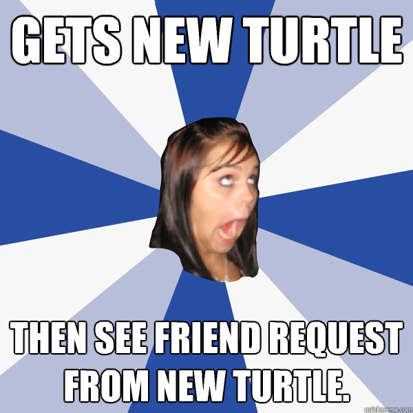 gets new turtle  then see friend request from new turtle.  Annoying Facebook Girl
